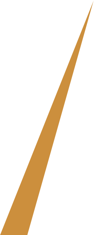 banfita