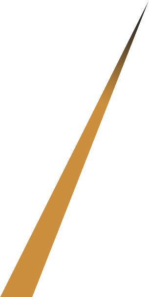 banfita